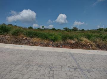 Terreno / Lote , Jocotepec · Excelente Terreno Para Casa de Campo