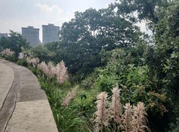 Terreno / Lote , Huixquilucan · Venta Terreno Bosque Real