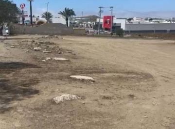 Terreno / Lote , Tijuana · Terreno en Renta