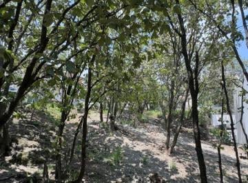 Terreno / Lote en Venta Fraccionamiento Bugambilias · Terreno en Venta en Bugambilias Segunda Sección