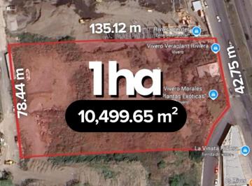 Terreno / Lote , Alvarado · 1 Hectárea en Venta en Riviera Veracruzana | Arlette Flores