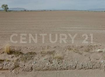 Terreno / Lote · 250000m² · Terreno Urbano en Unidad San Pedro, Entre 51 - 104 y 52 - 105 Julimes, Chihuahua