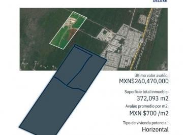 Terreno / Lote , Puerto Morelos · Terreno en Venta Puerto Morelos, Quintana Roo