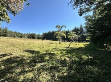 Terreno / Lote · Terreno en Venta - 2,000 m² en Los Álamos, Valle de Bravo