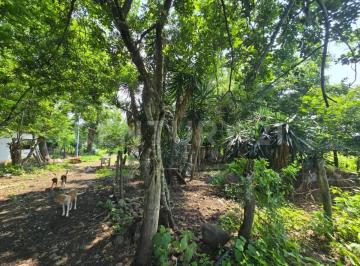 Terreno / Lote · 860000m² · "Rancho 86 Ha, Soledad de Doblado, Veracruz"