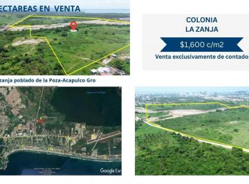 Terreno / Lote · 110000m² · Terreno en Calle Ignacio Zaragoza Esq. Callejon Sin Nombre, Ejido La Zanja.