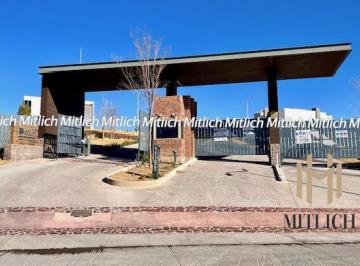 Terreno / Lote · 300m² · Terreno en Venta Altozano $2,250,000