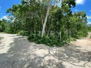 Terreno / Lote · 854m² · Terreno en Venta en Tulum, Quintana Roo.