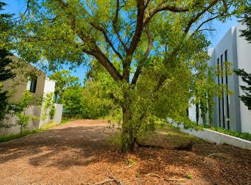 Terreno / Lote , Tlajomulco de Zúñiga · Venta Terreno en El Cielo Country Club