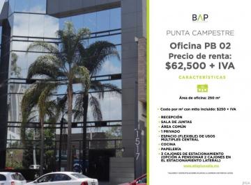 Oficina , León · Amplias Oficinas en Blvd Campestre