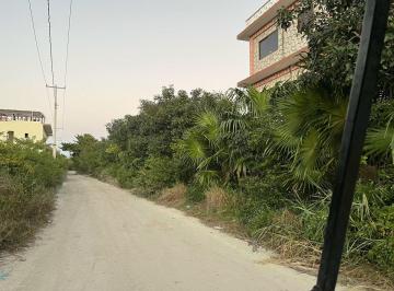 Terreno / Lote , Lázaro Cárdenas · Terrenos en Venta en Holbox a 200 m de La Playa Av Principal con Servicios y a 8 Min del Centro