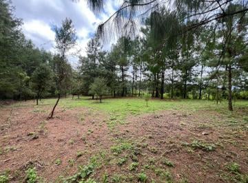 Terreno / Lote · 2823m² · Terreno en Venta - (4)