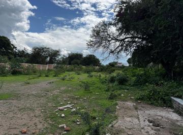 Terreno en venta – Ajijic, a metros del Lago de Chapala
Oportunidad única de in · Excelente Terreno a Unos m del Lago Ideal Desarrollo Habitacional 4,500 m²