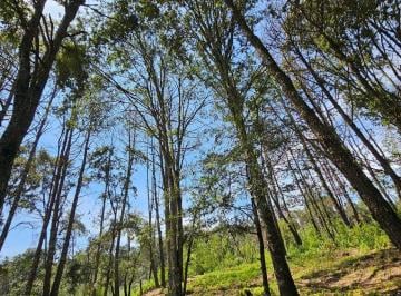 Terreno / Lote · 500m² · Venta de Hermoso Terreno en Bosque Omitlan de Juarez