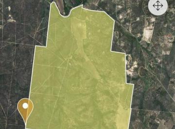 Terreno / Lote · 1180m² · Venta Terreno de 1180 Hectáreas en Tamaulipas