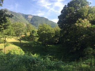 Terreno / Lote · 8170m² · Terreno Campestre en Venta Cola de Caballo