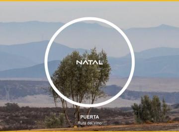 Terreno / Lote , Ensenada · Terrenos en Venta – Natal Puerta, Ruta del Vino, Valle de Guadalupe