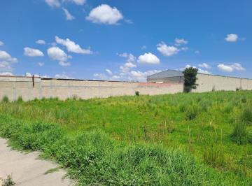 Terreno / Lote · 11617m² · Terreno en Venta en San Antonio La Isla Mexico