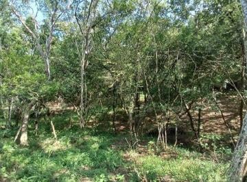 Terreno / Lote , Santiago · Terreno en Venta Piedra del Fierro, El Alamo, Santiago.