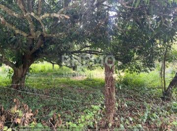 Terreno / Lote · 1000m² · Terreno en Venta Camino a Juana Moza, Tuxpan, Ver.