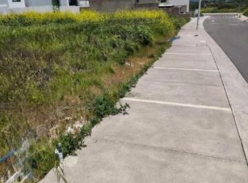 Terreno / Lote · 339m² · Venta de Terreno en Zibata Cv - 1315