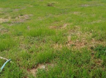 Terreno / Lote · 160m² · Terreno en El Mayorazgo