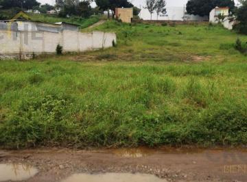 Terreno / Lote · 1176m² · Terreno en Venta en El Encero, Emiliano Zapata, Veracruz