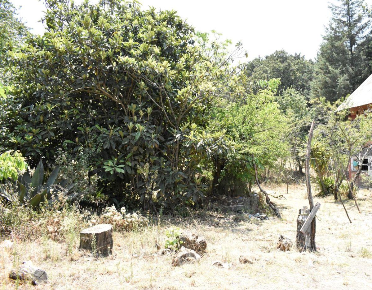 Land for Sale, Near Highway to Ecatzingo, Atlautla, State of Mexico