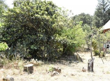 Terreno / Lote , Atlautla · Venta de Terreno, Cerca de Carretera a Ecatzingo, Atlautla, Edo. Mex.