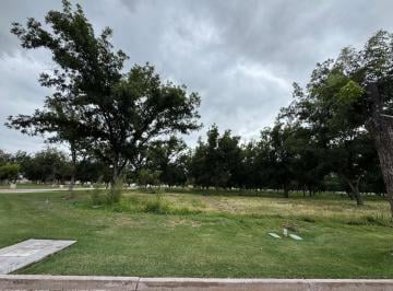 Terreno / Lote · 597m² · Se Vende Terreno en Las Cuadras Country Club - (4)