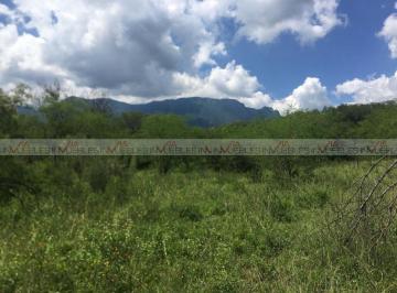 Terreno / Lote · 100000m² · Terreno / Lote en Venta en El Terrero