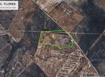 Terreno / Lote · 125000m² · Terreno en Venta 12.5 Hectáreas Industrial Ciénega de Flores Nuevo León.