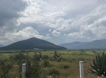Terreno / Lote , Arteaga · Terrenos Rústicos en Venta en El Huachichil