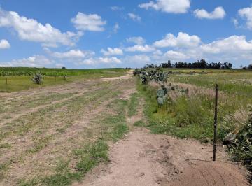 Terreno / Lote · 7633m² · Terreno en Venta La Muralla, Amealco, Querétaro.