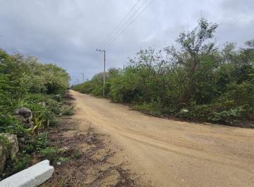 Terreno / Lote , Progreso · Terreno de 1033 m² en Venta, San Ignacio, Yucatán