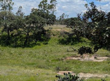 Terreno / Lote · 4801m² · En Venta Terreno en El Bothé, Querétaro.
