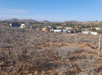 Terreno / Lote · 1830m² · Terreno - El Pescadero