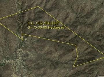 Terreno / Lote · 2147483647m² · Predio San Simon 70 Has, Sierra de La Laguna, Bcs, Mexico.