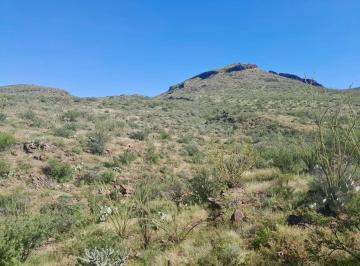 Rancho · 140000000m² · Rancho Ganadero en Venta en Coyame (14,000 Has)