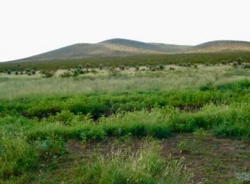Rancho · 10000000ha · Rancho Ganadero en Venta en Jimenez, Chihuahua (1000 Has)