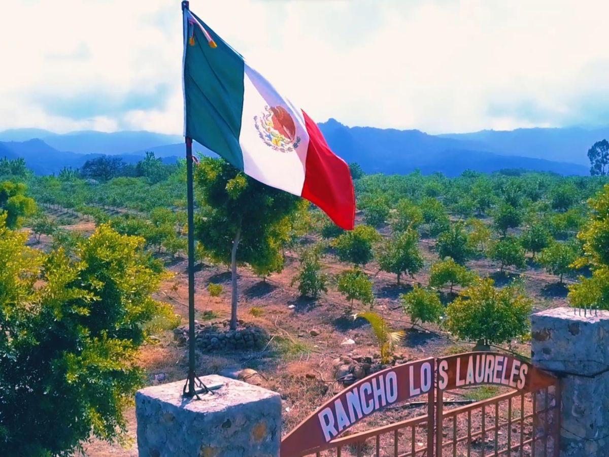 Rancho en Venta