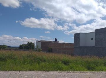 Terreno / Lote · Terreno - Valle Antigua