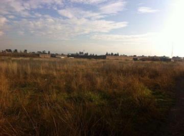 Terreno / Lote · 5060m² · Terreno en Venta Metepec Centro