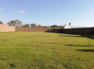 Terreno / Lote , San Gregorio Atzompa · Terreno en Chipilo de 3 Mil m², a 4 Mil Pesos por m², Se Vende en Dos Lotes o Completo
