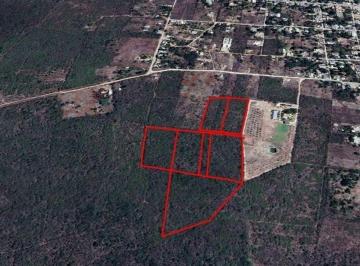 9cda777e9ce2f3a4ea9b82496e04be0e74ae5dbaf2c68887022ab0f3a2e39133 · Terreno en Venta de 5,000 m² en Yaxkukul, Yucatán.