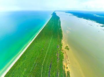 Terreno / Lote · 31741m² · Terreno Frente Al Mar en Las Playas de El Cuyo, Cerca de Holbox