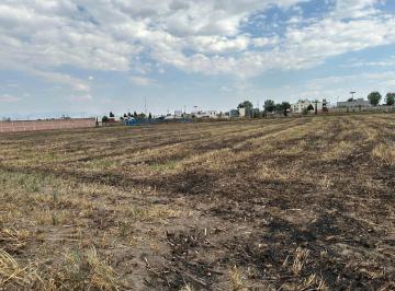 Terreno / Lote · 1804m² · Terreno en Venta o Renta en Pedro Asencio