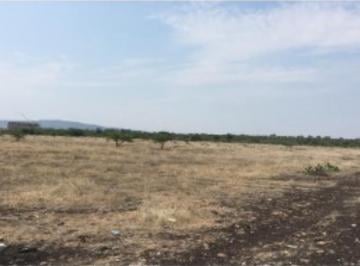 Terreno / Lote · 25233m² · Terreno en Ejido La Norita