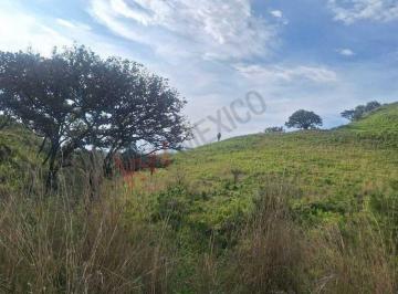 N/A · Terreno Ejidal en Venta, La Primavera, Jalisco.