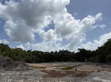Terreno / Lote · 200000m² · Terreno en Venta, Ruta de Los Cenotes, Leona Vicario, Quintana Roo.